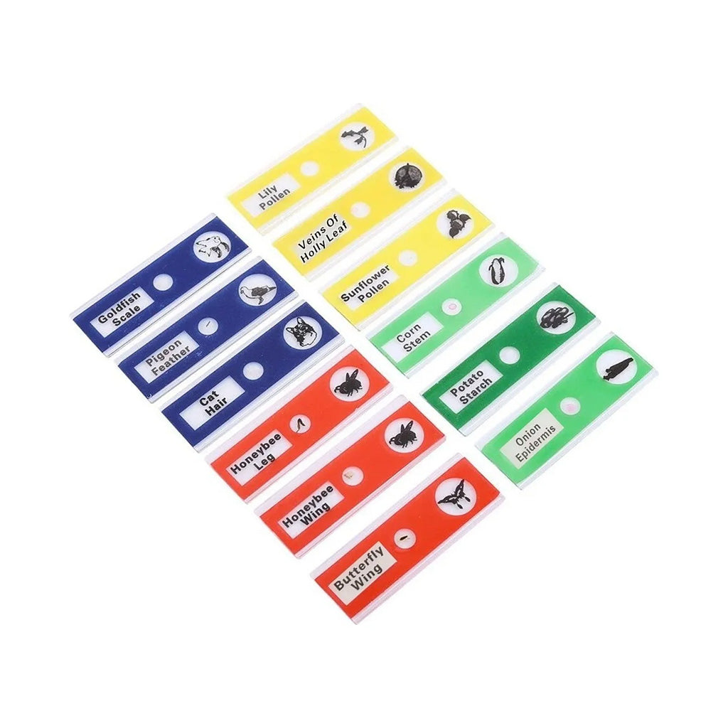 Micro-World Samples | Your Little Scientist