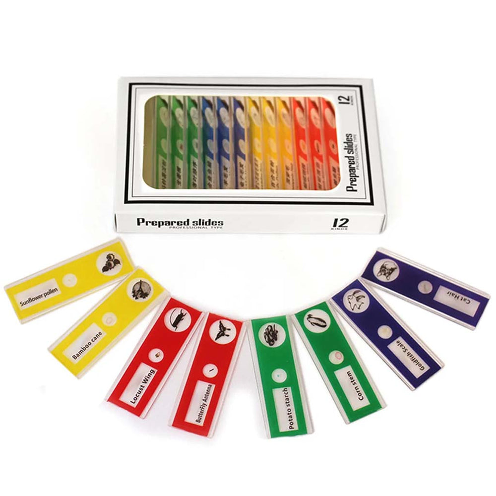 Micro-World Samples | Your Little Scientist